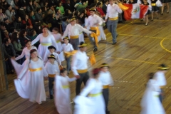 DSC06010