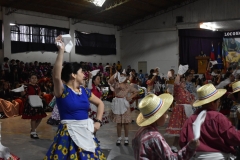 Locomotora-del-Folclore-2025-215