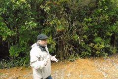 Parque Oncol - PIE 2018