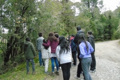 Parque Oncol - PIE 2018