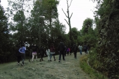 Parque Oncol - PIE 2018