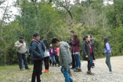 Parque Oncol - PIE 2018