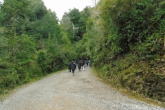 Parque Oncol - PIE 2018