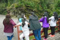 Parque Oncol - PIE 2018