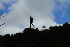 Parque Oncol - PIE 2018
