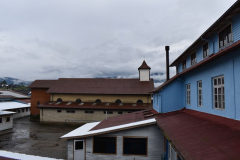 DSC_0623