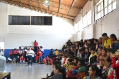Teleton-2025-32