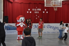 Teleton-2025-5