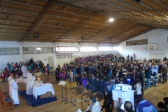 DSC07785