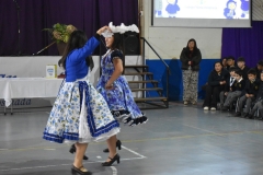 Fin-1er-Semestre-2026-19